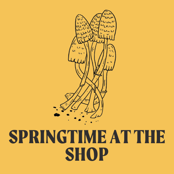 Springtime at the Shop