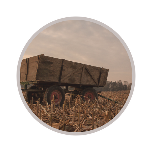 golden farm field with brown wagon in foreground