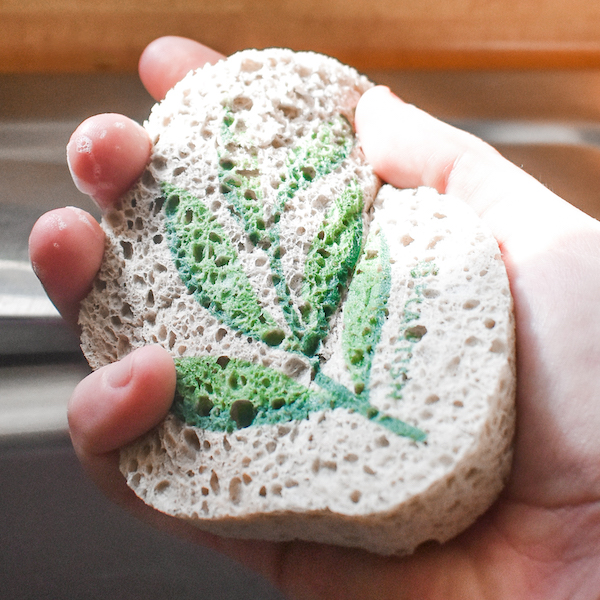hand holding biodegradable pop up kitchen sponge