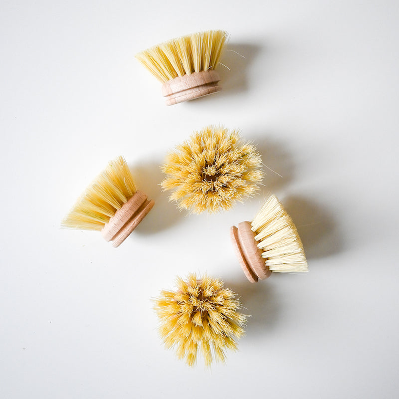 Four Redecker Dish Brush With Removable Head replacements, featuring stiff yellow bristles, are shown on a white background—two viewed from the side and two from above, highlighting bristle arrangement.
