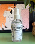 Electronic Screen Cleaner