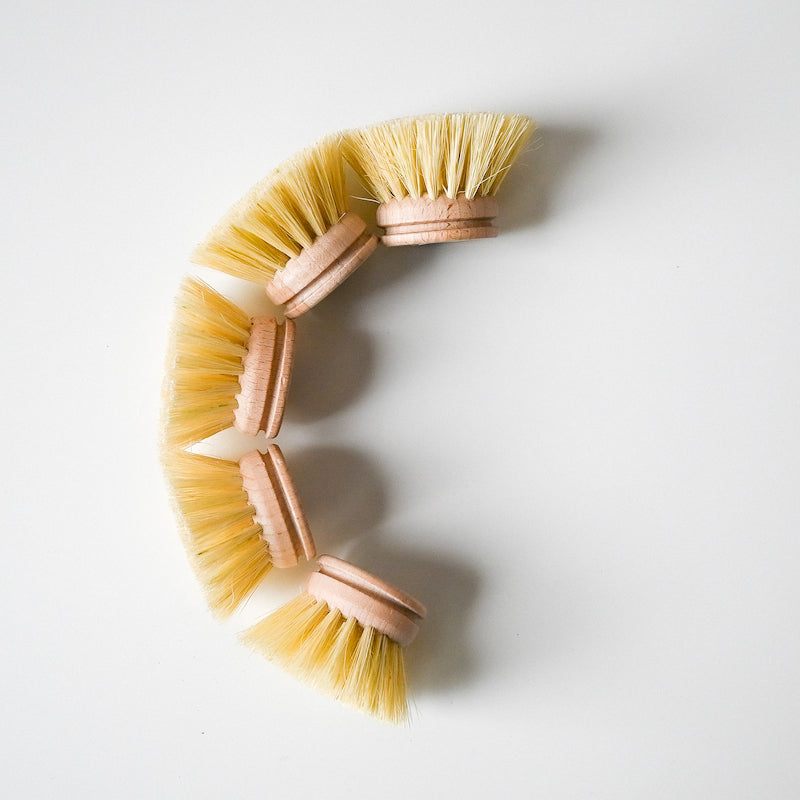 Five Redecker Dish Brush Replacement Heads with light bristles are arranged on a white background in a crescent shape, resembling the letter C—ideal for pairing with any Redecker Dish Brush Handle.