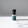 A small amber glass bottle of Mountain Rose Herbs Tea Tree Essential Oil (certified organic, Melaleuca alternifolia) with a black cap sits on a white surface, casting a shadow in bright natural light.