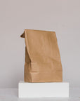 A plain brown paper lunch bag sits upright on a white rectangular block against a light gray background, echoing the clean, simple appeal of innovative products such as Huppy’s Kids Toothtabs.