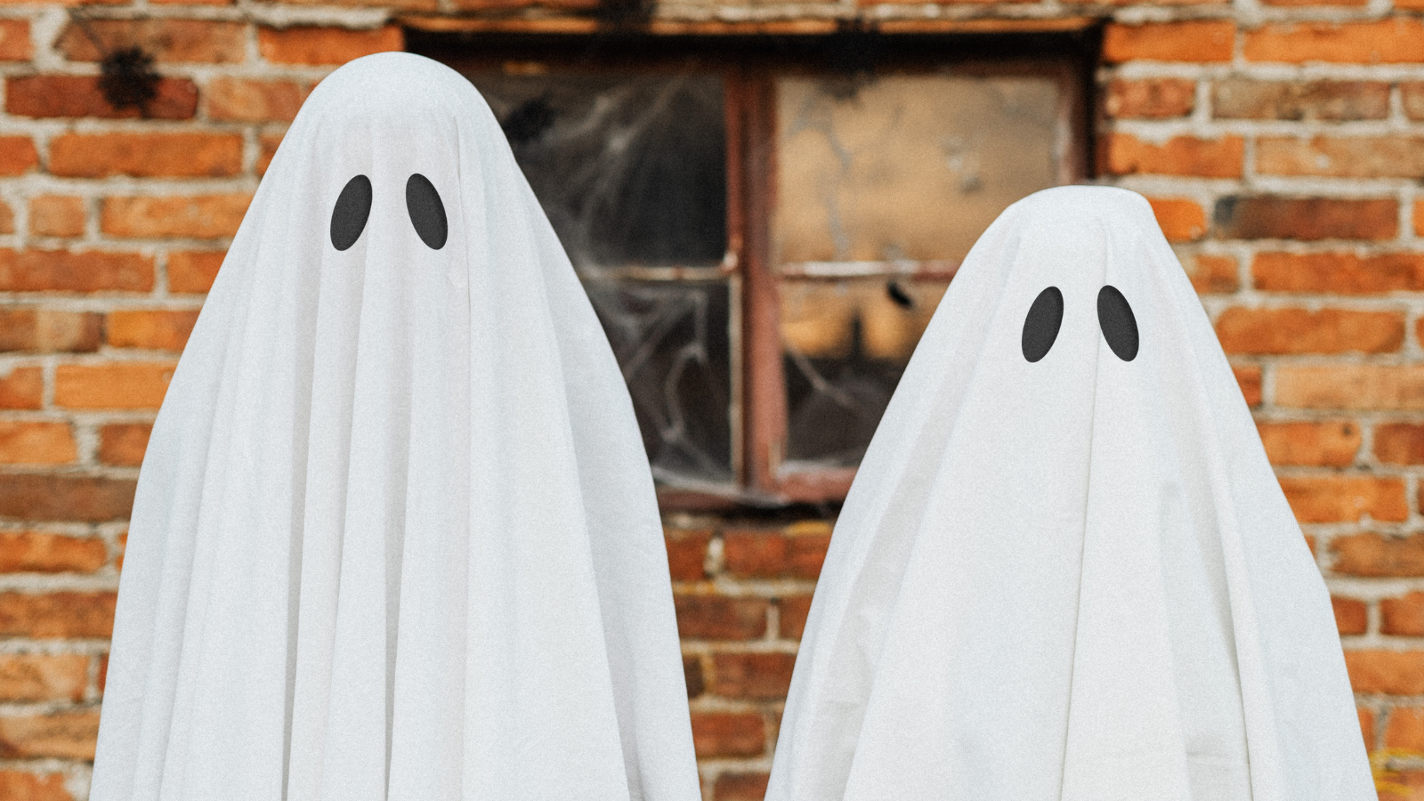 Trick or Treat! Sustainable Goodies for Your Favorite Halloween Monsters
