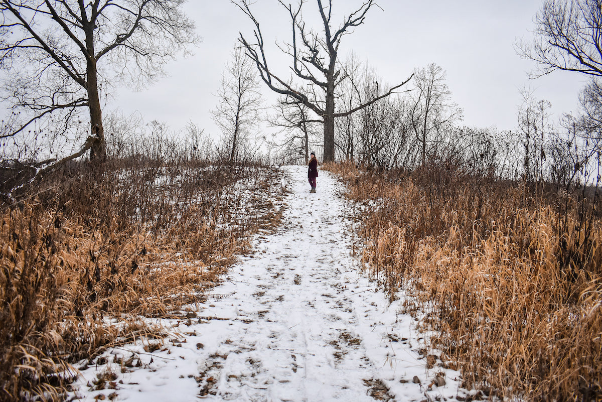 Slowing Down With Mary Oliver: Finding Stillness in a Busy World