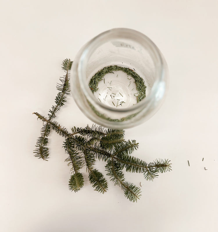 Pine Needle Cleaning Solution – Green Life Trading Co.