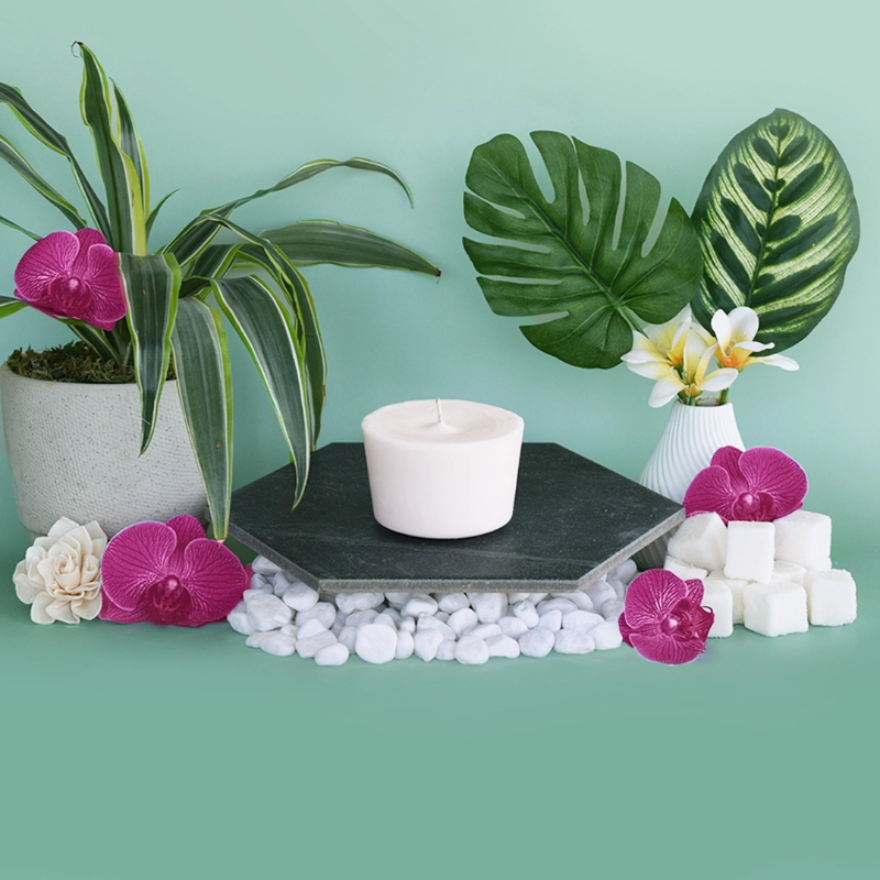 The Arbor Made Candle Refill in the scent  Palmera Oasis. The candle refill is unpackaged in the center surrounded by tropical plants on a teal background. 
