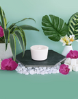 The Arbor Made Candle Refill in the scent  Palmera Oasis. The candle refill is unpackaged in the center surrounded by tropical plants on a teal background. 