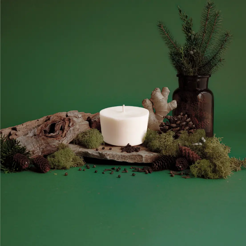 The Arbor Made Candle Refill in the scent spiced timber. The candle refill is unpackaged in the center surrounded by pine decor and moss on a green background. 