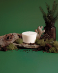 The Arbor Made Candle Refill in the scent spiced timber. The candle refill is unpackaged in the center surrounded by pine decor and moss on a green background. 