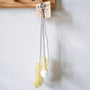 Bottle cleaning brush set with a wooden hook on a white wall