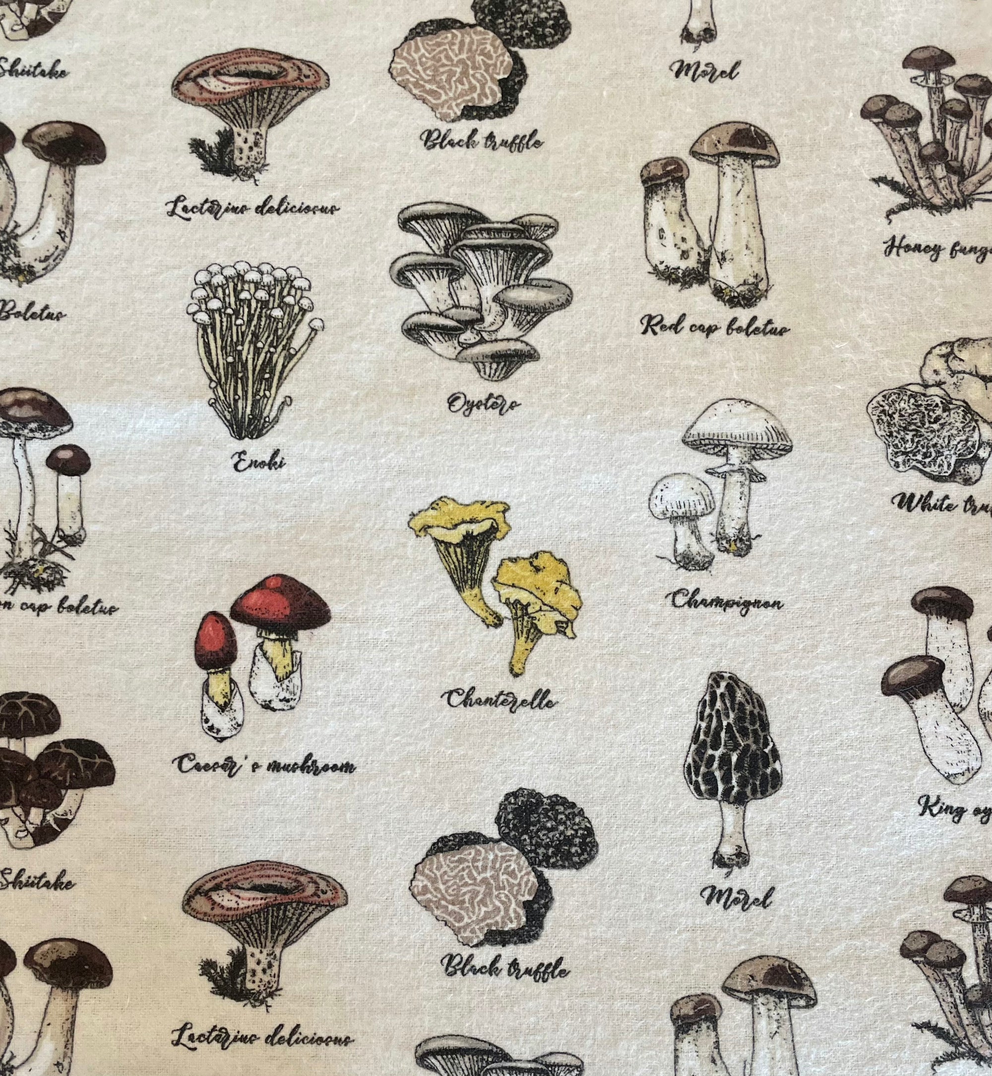 No paper towel with botanical illustrations of a variety of mushrooms on a cream background. 