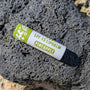 Pineapple flavored SPF 15 lip balm with green and white paper sustainable packaging lying on a rock on a beach.