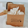 zero waste Q tip