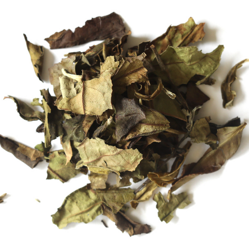 Loose, dried White Peony Tea leaves from Mountain Rose Herbs in green and brown hues, scattered on a white surface.