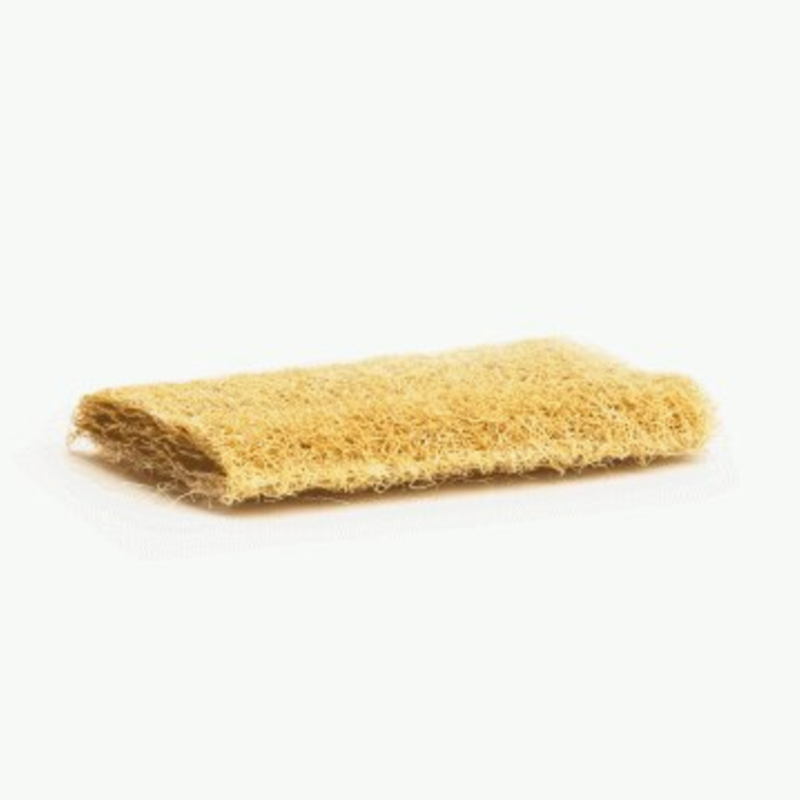 flat yellow loofah sponge on white background