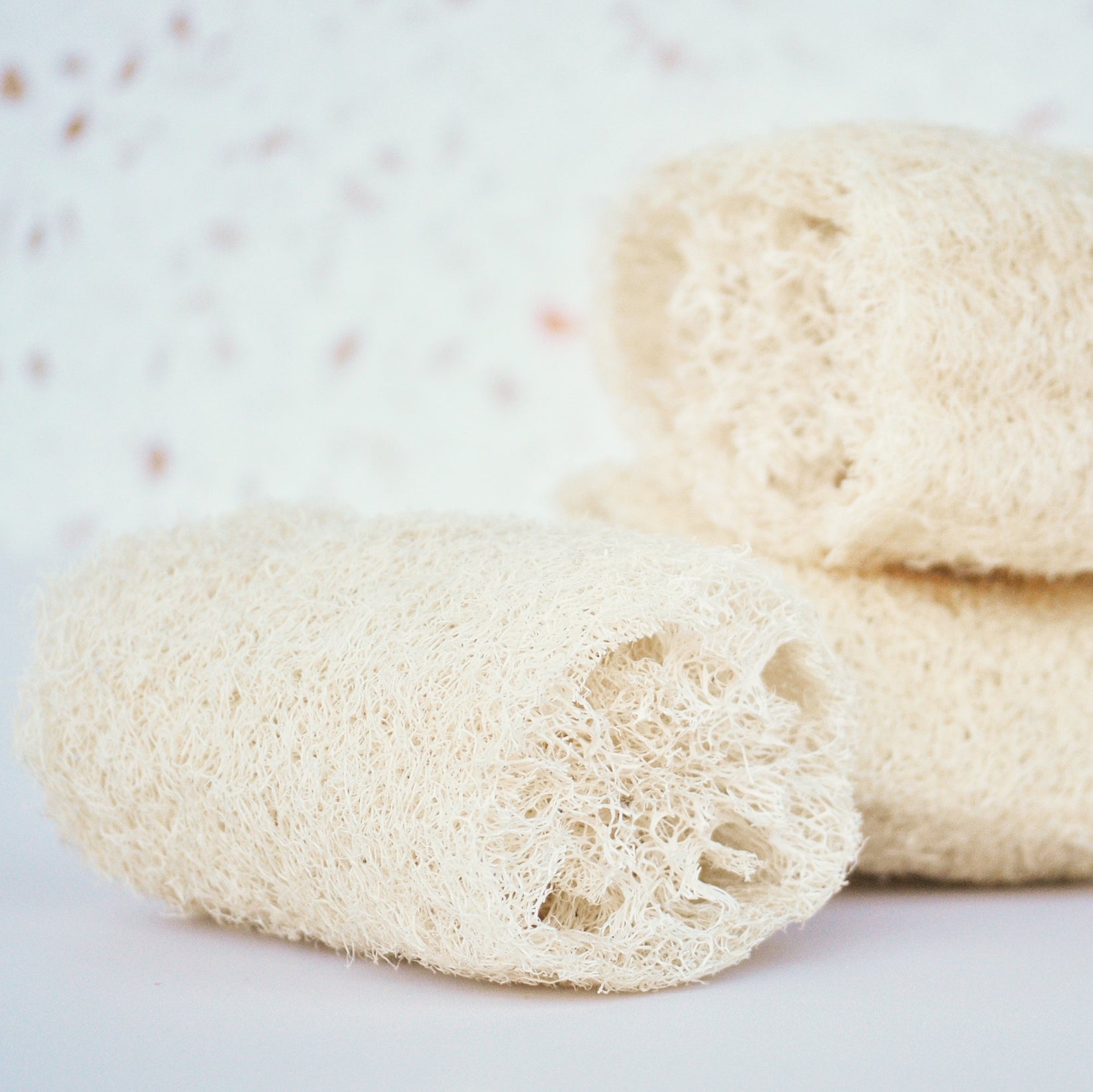 Loofah Sponge Green Life Trading Co.