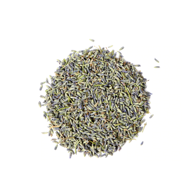 Dry Lavender Buds
