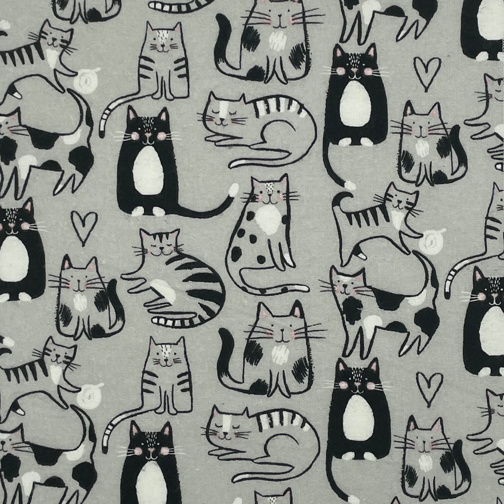 No Paper towel with a variety of illustrated cats sleeping and playing on a grey background. 