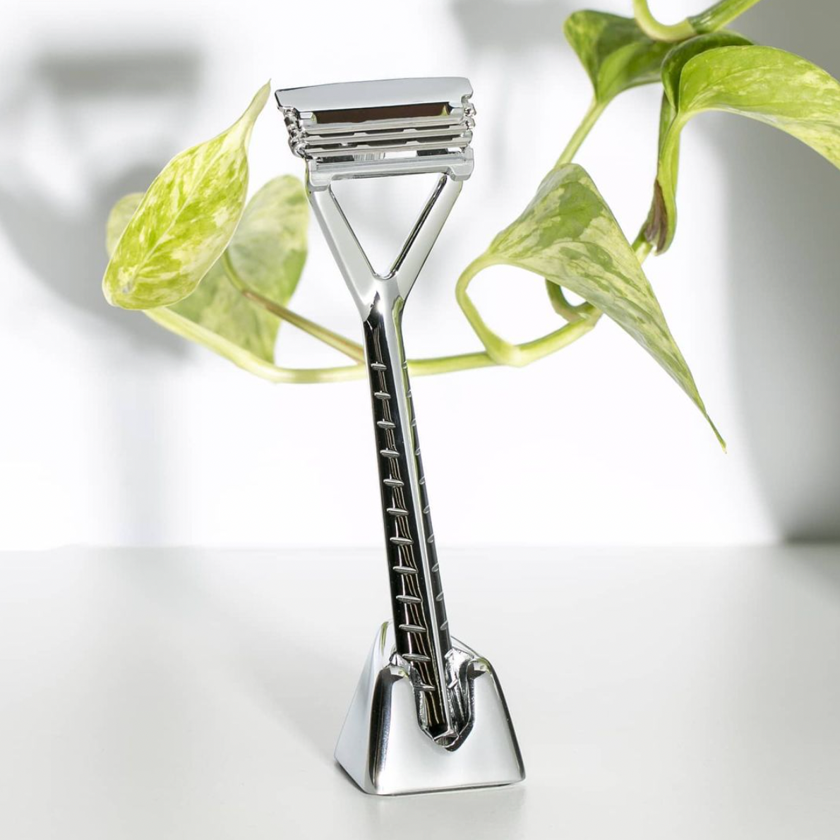 Leaf Razor Stand