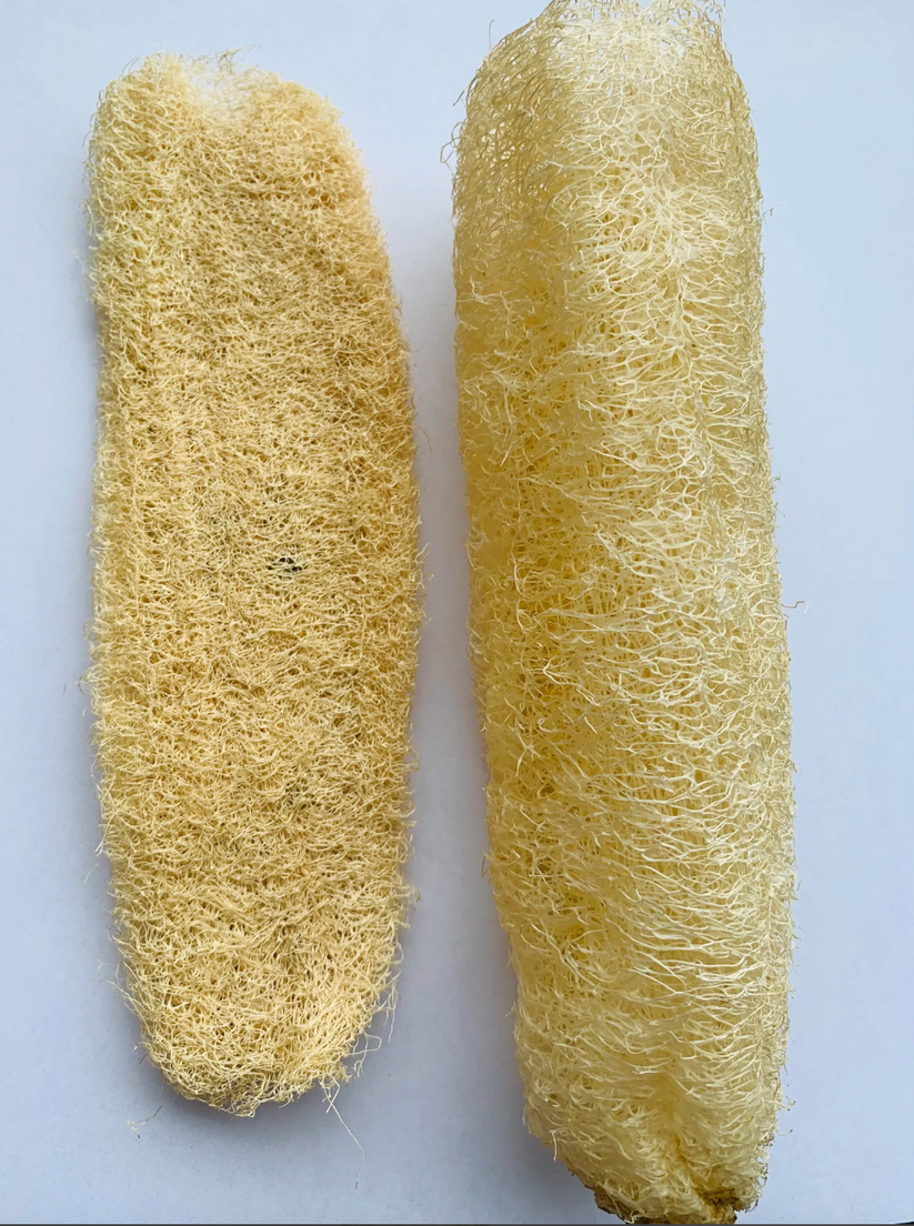 Loofah Sponge Green Life Trading Co.