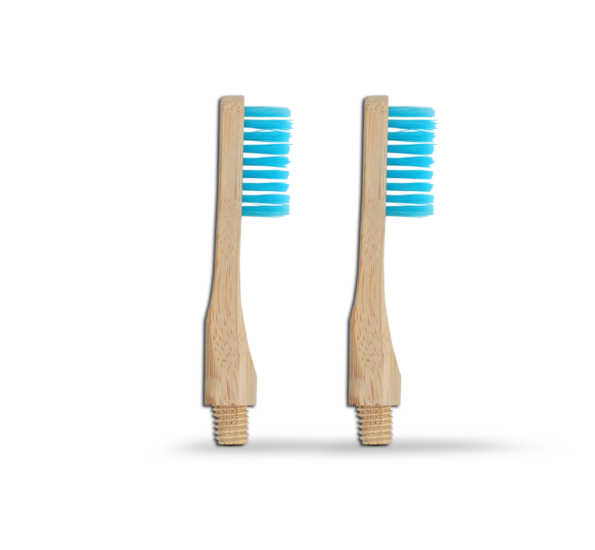 Toothbrush Replacement Heads